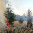 Incendiu de vegetație în Munții Călimani