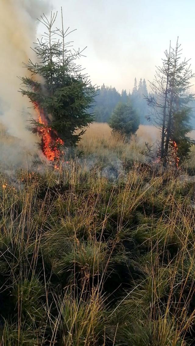 Incendiu de vegetație în Munții Călimani