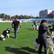 Singurul câine care promovează Bucovina – Ciobănescul Românesc de Bucovina, a fost duminică în centrul atenției a sute de iubitori de animale, pe stadionul Areni 5