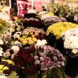Florăresele din Piața Mare au rămas cu marfa neatinsă în prima zi de școală