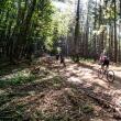 A doua ediție a concursului de ciclism montan Bucovina MTB a avut aproximativ 200 de participanți