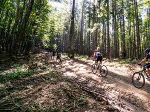 A doua ediție a concursului de ciclism montan Bucovina MTB a avut aproximativ 200 de participanți