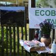 La Panaci, EcoBrunch pe tărâmul Izvoarelor
