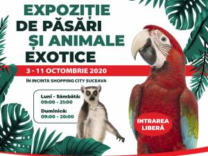 În perioada 3 – 11 octombrie 2020, Shopping City Suceava organizează o expoziție inedită de păsări și animale exotice