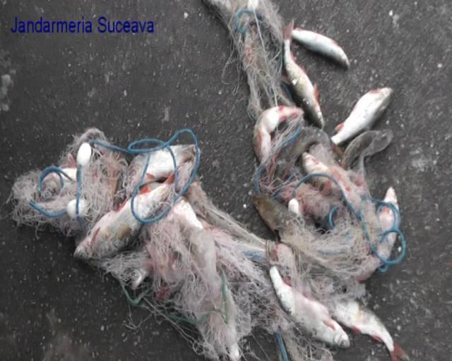 Pescari amendați după controale la acumulările Rogojeşti, Hănțești și Lipoveni
