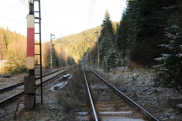 Calea ferata intre statiile Valea Putnei si Pojorata