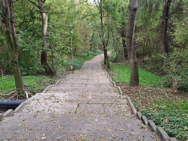 În Parcul Șipote, devenit oficial al Primăriei Suceava, au fost făcute deja o serie de lucrări de reparații la alei și la iluminatul public