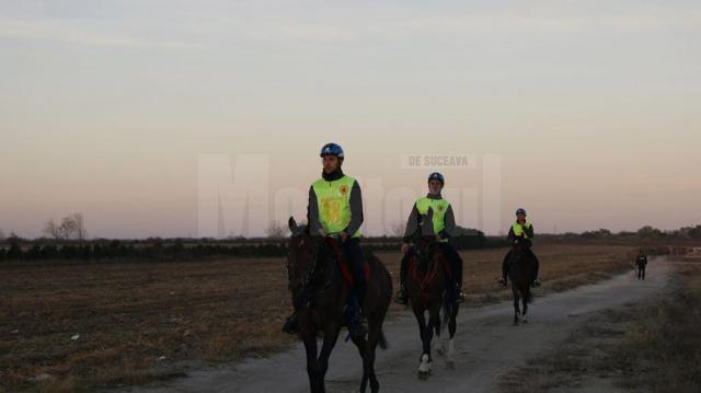 Caii și călăreții Hergheliei Rădăuți în finala Campionatului Național de Anduranță, desfășurat la Constanța