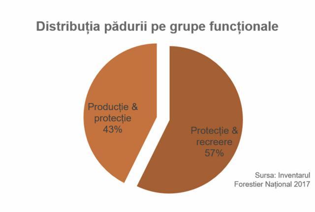 Distribuția pădurii pe grupe funcționale