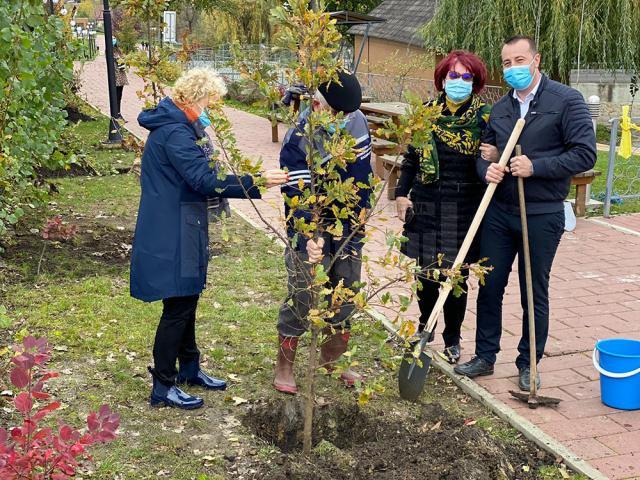 Startul acțiunii de plantare a fost dat în zona de agrement Tătărași, unde au fost plantați 360 de copaci - stejari, plopi, salcâmi