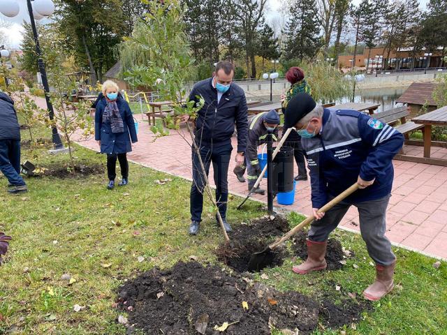 Startul acțiunii de plantare a fost dat în zona de agrement Tătărași, unde au fost plantați 360 de copaci - stejari, plopi, salcâmi