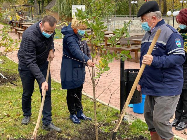 Startul acțiunii de plantare a fost dat în zona de agrement Tătărași, unde au fost plantați 360 de copaci - stejari, plopi, salcâmi