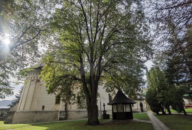 Biserica Ortodoxă Română face recomandări in privinta alegerilor parlamentare
