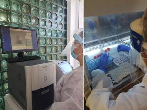 Laborator PCR Dorna Medical