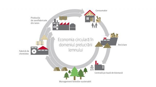 Economia circulară