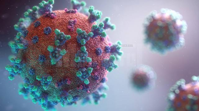 Peste 9.500 de suceveni sunt vindecați de noul coronavirus - Covid-19