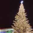 Municipiul Suceava, pregătit de sărbătorile de iarnă, cu mii de decorațiuni luminoase 4