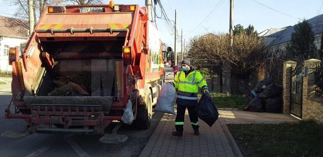 Program de colectare a deșeurilor vegetale din Suceava, pe cartiere