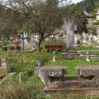 În memoriam Petru Comarnescu