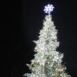 Luminile de sărbătoare din bradul de Crăciun și în centrul Sucevei, decorat feeric, cu mii și mii de luminițe  2