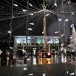 Aprinderea luminilor de sărbătoare în centrul Sucevei, odată cu prima ninsoare