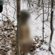Câine spânzurat în pădure, de un tânăr care nu ar fi la prima faptă de acest gen