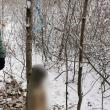 Câine spânzurat în pădure, de un tânăr care nu ar fi la prima faptă de acest gen