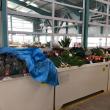 Piețele agroalimentare în spații închise, redeschise de sâmbătă