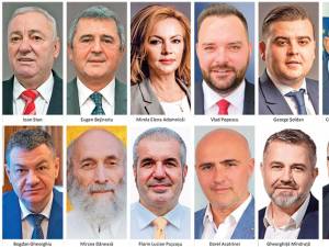 Jumătate dintre parlamentarii de Suceava sunt la primul mandat: cei de la USR-PLUS, AUR și doi de la PSD