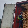 Filtre rutiere pentru depistarea transporturilor ilegale de material lemnos și pomi de Crăciun