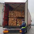 Filtre rutiere pentru depistarea transporturilor ilegale de material lemnos și pomi de Crăciun