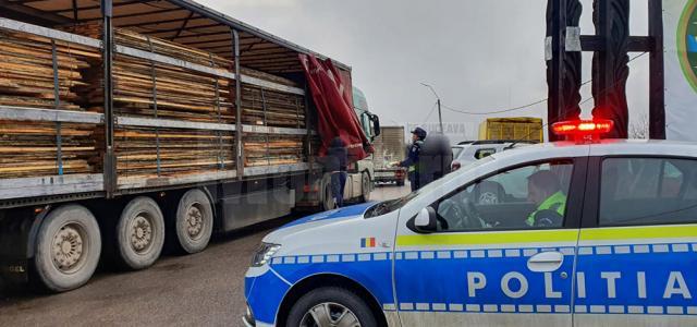 Filtre rutiere pentru depistarea transporturilor ilegale de material lemnos și pomi de Crăciun