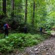 120 de kilometri de mers pe jos, prin pădurile și munții Bucovinei