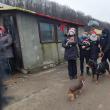 Câinele polițist Oscar, la adăpostul de la Mariței