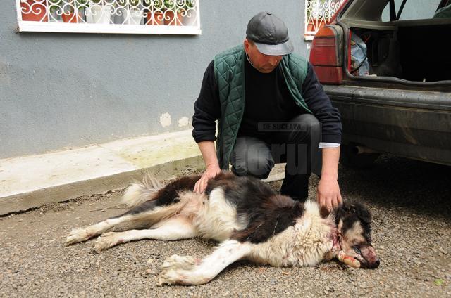 Proprietarul, Sorin Savin, împreună cu unul dintre câinii împuşcaţi