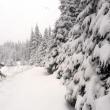 Ninsorile din ultimele zile au crescut stratul de zăpadă din zona de munte