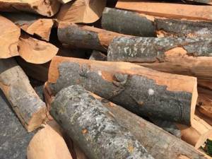 Amenzi și lemn confiscat, după identificarea unor transporturi fără acte
