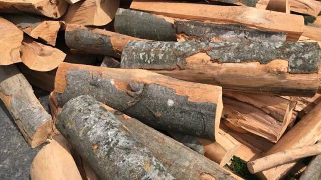 Amenzi și lemn confiscat, după identificarea unor transporturi fără acte
