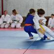 Judo în plina acțiune