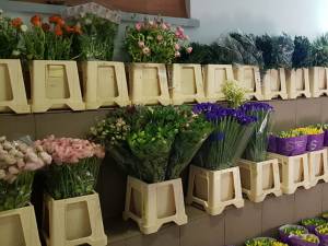 Oferte speciale la Depozitul de flori și accesorii din cartierul Obcini