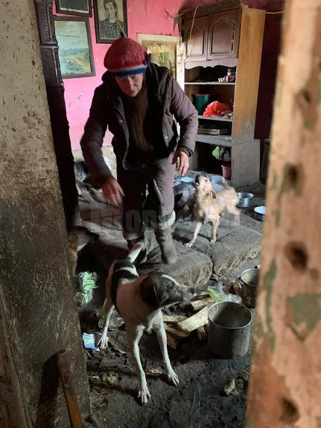 Femeia din Mușenița care trăia alături de 14 câini și 3 pisici, într-o locuință total insalubră