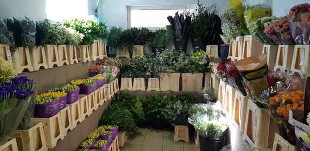 Oferte speciale la Depozitul de flori și accesorii din cartierul Obcini