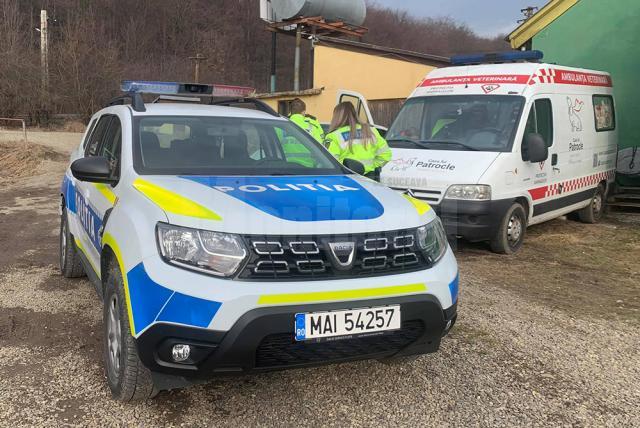 Dosar penal pentru femeia care a abandonat într-un sac patru pui de câine