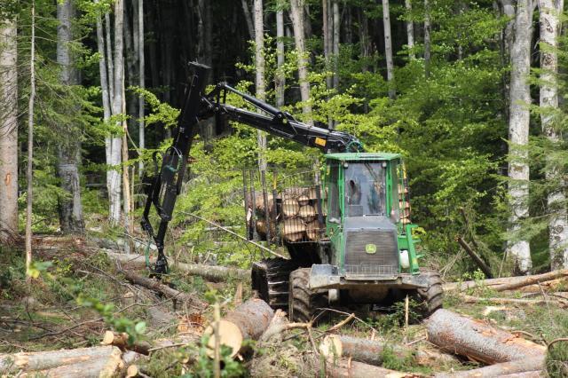 Creșterea gradului de utilizare a lemnului în construcții, una dintre principalele măsuri propuse de ASFOR pentru finanțare prin PNNR