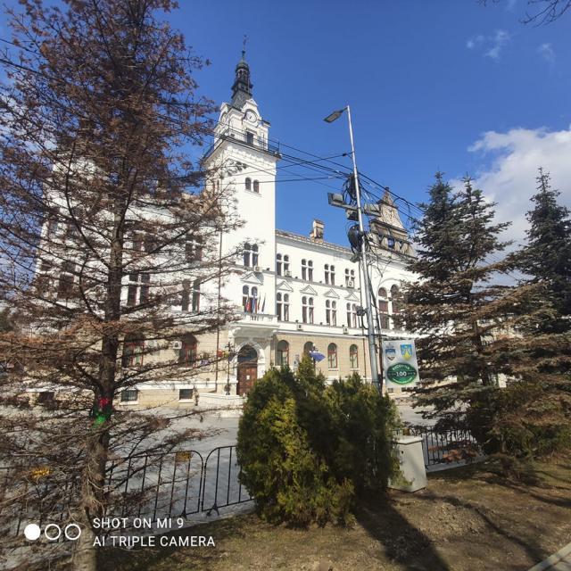 Trei dintre brazii ornamentali care înfrumusețau zona din fața Palatului Administrativ Suceava s-au uscat complet și urmează să fie tăiați