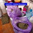 Un singur client ar fi dat aproape 30.000 de euro pe etnobotanice aceluiași dealer