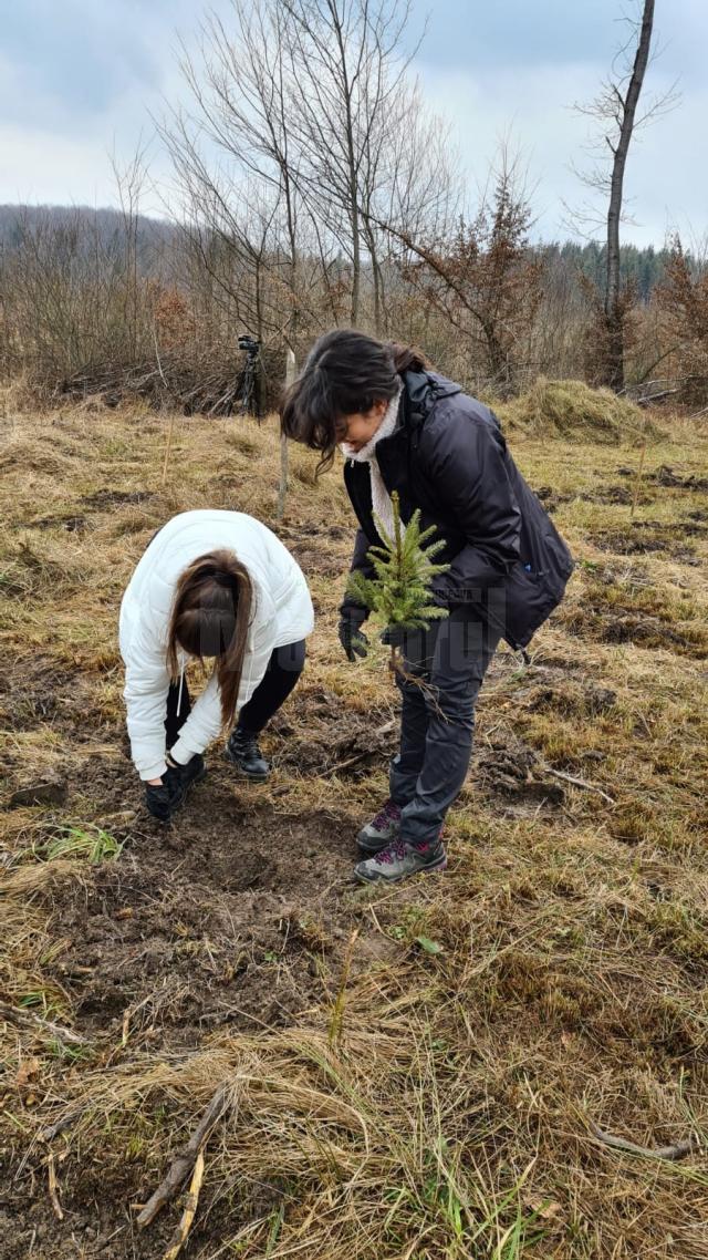 Acțiune de împădurire la care au participat și voluntari ai Asociației Tinerilor Ortodocși Suceveni
