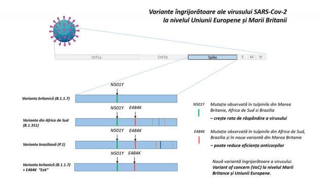 Variante SARS CoV