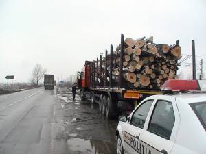 Activiștii de mediu din Suceava sunt tot mai prezenți – camioane cu lemn oprite zilnic