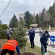 Primarul Ion Lungu şi viceprimarul Lucian Harsovschi la plantarea de arbori ornamentali